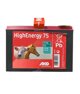 PILE SALINE HIGH ENERGY 9V 75AH AVEC POIGNEE