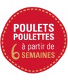 POULET POULETTE REGAL EN SAC DE 8KG